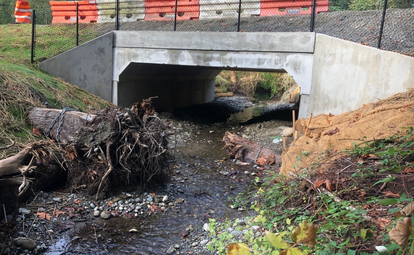 New King County road across Mary Olson Creek improves transportation for people and salmon