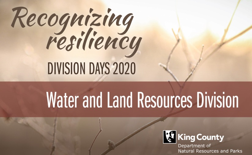 From forests to flagellates: The Water and Land Resources Division is a resilient watershed utility