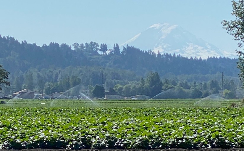 Horseneck Farm: Preserved for agriculture, now increasing access for diverse growers — Keeping King County Green